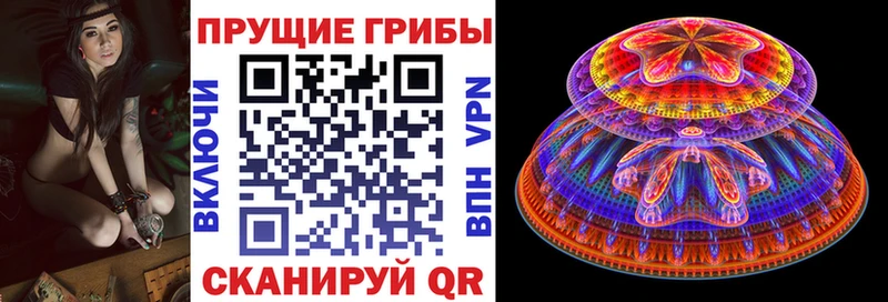 Галлюциногенные грибы Psilocybine cubensis Чёрмоз