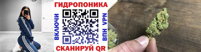 Бошки марихуана планчик  OMG ТОР  Чёрмоз 
